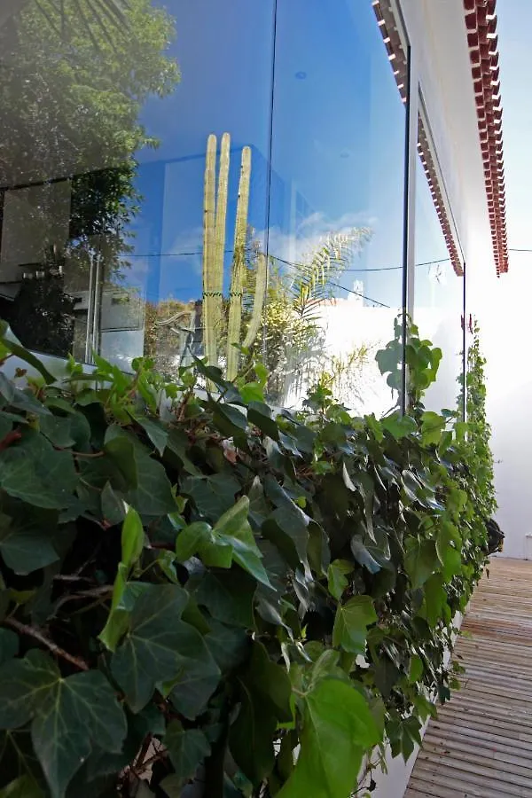 El Palomar, Oasis Secreto En El Norte De Tenerife Hotel La Matanza De Acentejo Dom wakacyjny